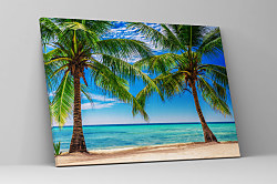 Obraz Kanárske ostrovy 1728